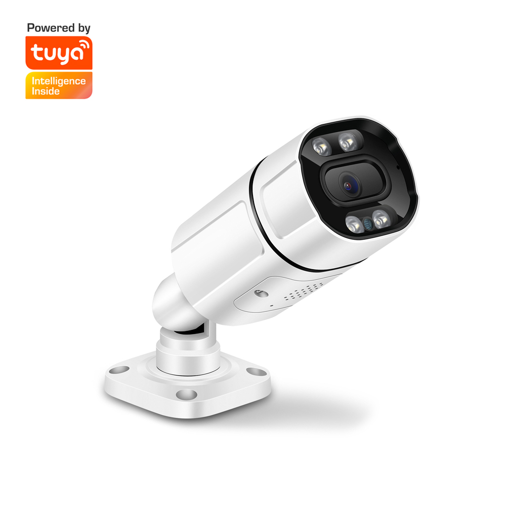 Outdoor Lighting No Electricity - Kamera IP Tuya APP 2MP 1080P