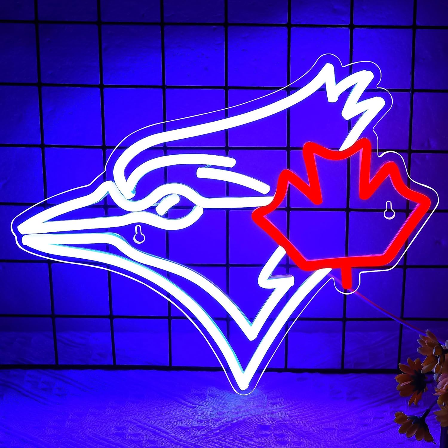 Światło LED z efektem zmieniaj – Outdoor Lighting Canada recenzja i cena